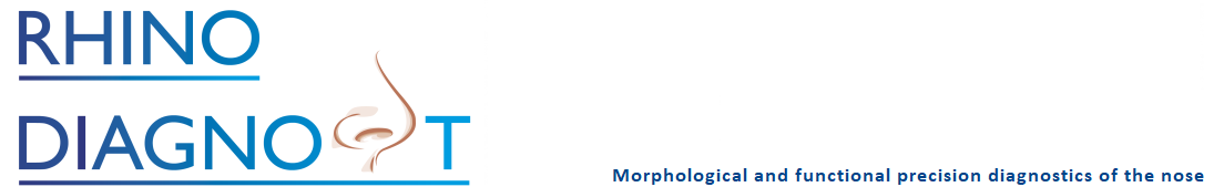 Morphologische und funktionelle Präzisionsdiagnostik der Nase
